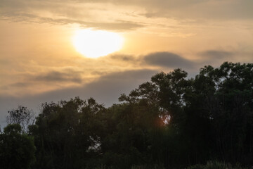 Sunset over lush trees nature landscape outdoor scene serene environment wide angle view