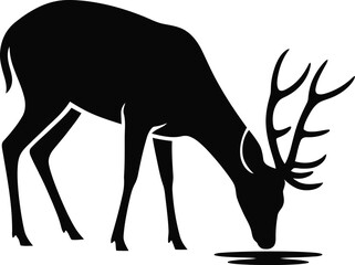 Silhouette of a deer with antlers drinking water on a white background Keywords: deer, animal, silhouette, antlers, drinking, water, nature, wildlife, forest, meadow, grazing