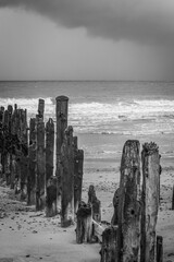 Dramatic monochrome beach landscape with rustic wooden groynes at Spurn Head, Yorkshire, UK.