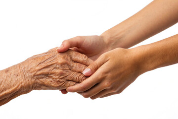 Fototapeta premium young child hands holding an elderly womans hand