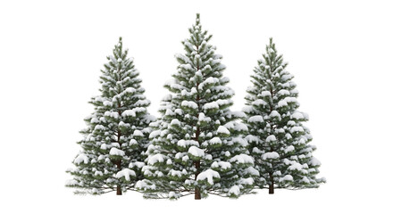 Obraz premium Christmas trees with snow isolated on white or transparent background