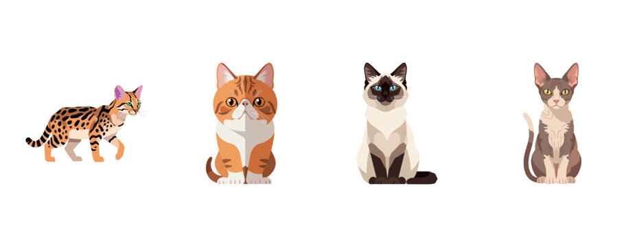 Illustration of diverse cat breeds: bengal, tabby, siamese, sphynx