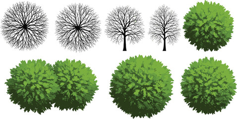Leafless trees, branching patterns, green leafy tree, top view foliage, aerial plants, seasonal greenery, ornamental design, landscape illustration, decorative nature, botanical artwork © MDAMIRHAMJA