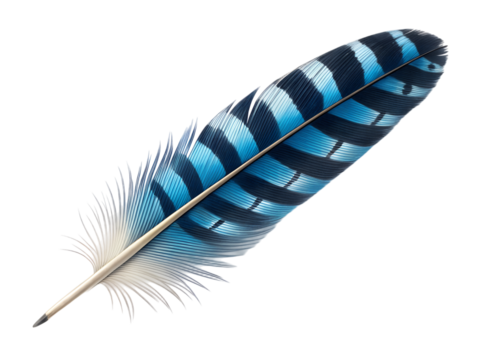 Beautiful blue jay feather isolated on transparent background with black stripes - Powered by Adobe