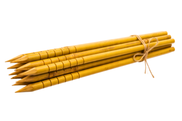 Bundle of natural bamboo garden stakes tied with twine string isolated on a transparent background