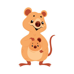Fototapeta premium Cute Quokka Animal with Pretty Snout and Tail Vector Illustration