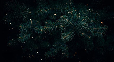 Close up of dark green pine tree branches with small lights scattered throughout the image