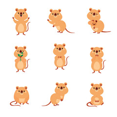 Cute Quokka Animal with Pretty Snout and Tail Vector Set