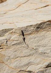 Natural, light-colored stone surface with rugged texture and visible mineral variations. Provides a solid, organic background ,rugged ,ground ,coarse