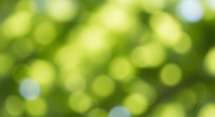 Obraz premium Soft green bokeh background with gentle light circles and blurred nature pattern creating a calm abstract backdrop for design