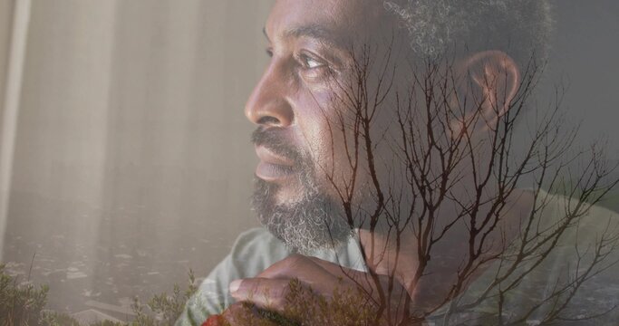 Gazing mature man wearing muted gray shirt near window, with clasped hands and branches overlay - Powered by Adobe