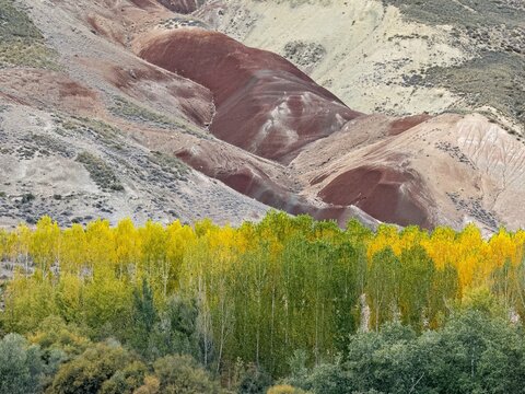 Colorful hills and forest in Valle del Rio Fardes in Granada province