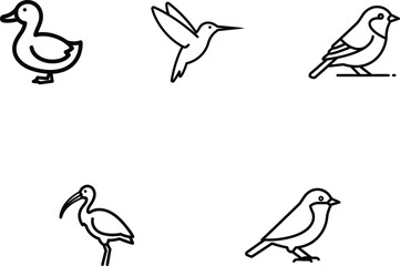 Collection of Bird Icons Featuring Duck Hummingbird Sparrow and Ibis Depicted in Line Art Style for Ornithology Projects Animal Illustrations and Design Compositions