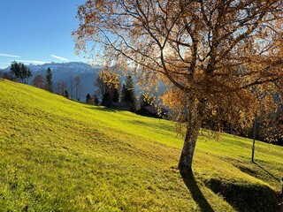 Magnificent autumn colors in the surroundings of mountain pastures and mixed forests over the Swiss...