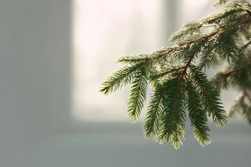 minimalist still life featuring window adorned with spruce branch and name emmanuel