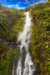 Obraz premium Majestic Waterfall Cascading Down Lush Green Cliffs, Madeira island, Portugal, nature background or travel wallpaper