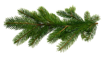 christmas branch tree isolated on white background