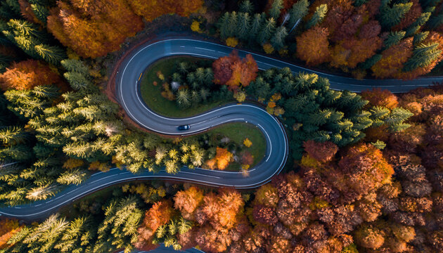 Aerial View of Winding S Curve Mountain Road Through Vibrant Autumn Forest