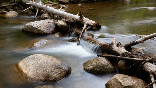 Stream flowing over rocks and fallen logs in a forest setting - Powered by Adobe