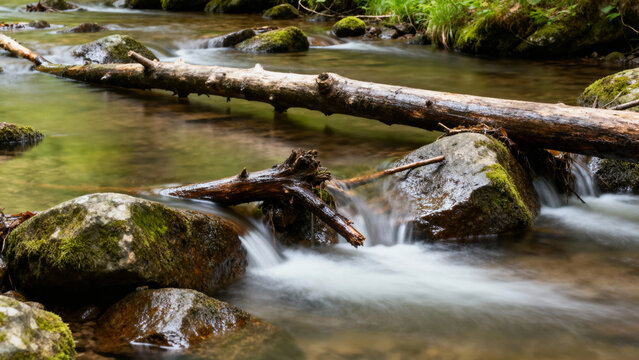 A serene forest stream flows over moss-covered rocks and fallen logs, creating a tranquil natural scene.