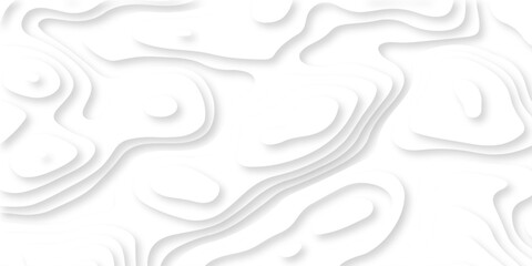 Luxury creative spiral paper background. vector natural shadow papercut web topography map spiral line. white light dynamic smooth cover origami papercut texture background.