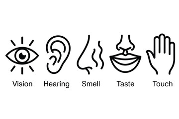 The five senses are illustrated as icons: vision, hearing, smell, taste, and touch.