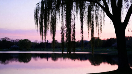 Silhouetted willow tree by a calm lake at twilight with pink and purple sky reflections