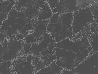 Bold marble with dark tone and unique light gray veining pattern.