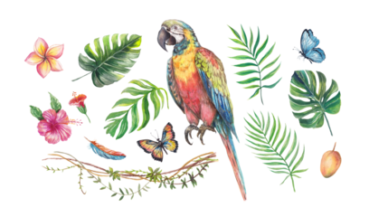 Watercolor tropical set with a colorful parrot, hibiscus and plumeria flowers, palm and monstera leaves, butterflies, feathers, vines and fruit. Hand-painted exotic elements isolated for design projec
