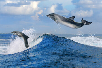 “A diverse collection of wild and domestic animals, featuring majestic wildlife, cute pets,...