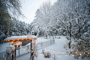 Backyard after heavy snowfall in early winter