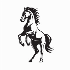 Powerful Horse Standing on Hind Legs Vector on white background