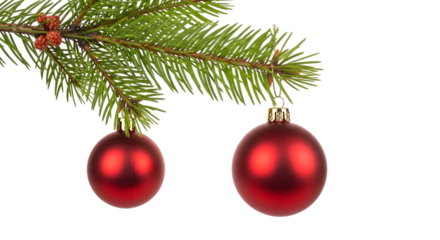 Christmas tree branch with two red bauble ornaments