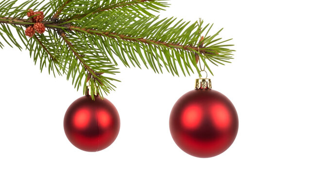 Christmas tree branch with two red bauble ornaments - Powered by Adobe