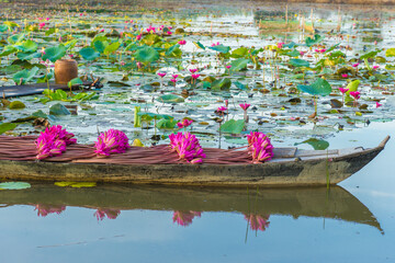 Red water lilies on a wooden boat in the Mekong Delta, Vietnam