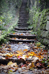 Long, old stone staircase with colorful autumn leaves, nature, bokeh, nostalgia.