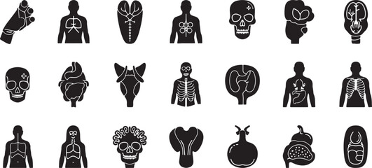 Set of anatomical and skeleton vector icons in black color