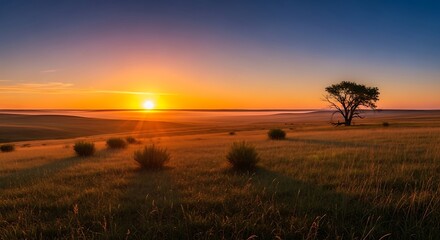 Vibrant African Savanna Sunrise with Acacia Tree Silhouette.