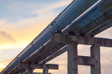 Naklejka premium a pipeline on concrete piles against the backdrop of the evening sky