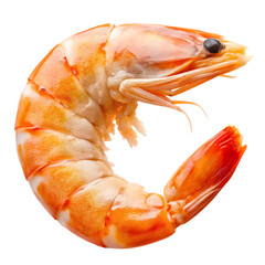 One single cooked and peeled shrimp with tail, a fresh seafood delicacy.isolated on transparent background. PNG