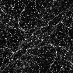 Concrete crack pattern grunge white texture Vector Image