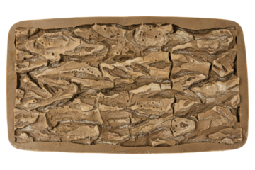Faux tree bark background panel for a reptile terrarium habitat isolated with transparent background