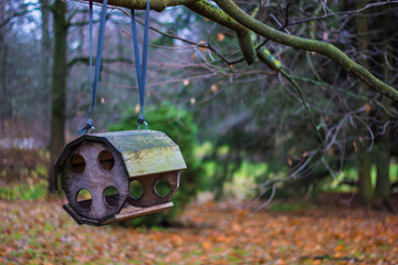 birdhouse. house for squirrels and birds in the park. help for city animals. nature in the urban environment. illustration of park recreation