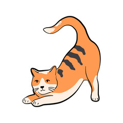 Cute doodle cat in a playful pose. Cartoon pet kitten perfect for stickers, stationery, prints and pet-themed designs