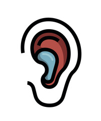 An illustration of a human ear highlighting its internal structure and auditory canal.