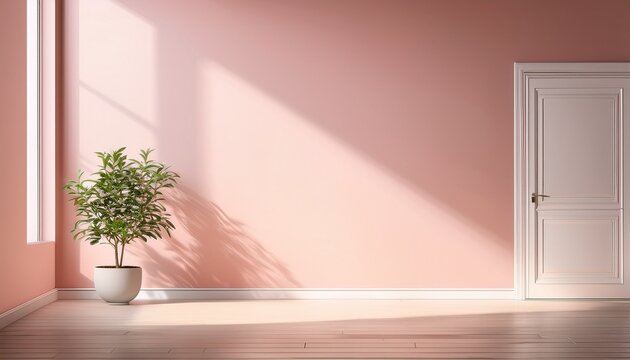 minimalist room with a blush pink wall a white door sunlight streaming in and a small potted plant