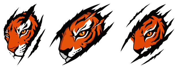 Fierce tiger heads tearing through claw marks – aggressive sports mascot logo set