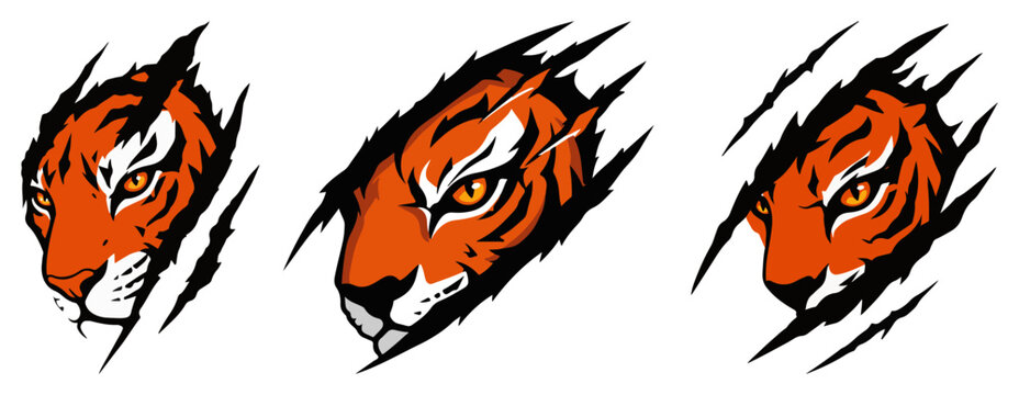 Fierce tiger heads tearing through claw marks – aggressive sports mascot logo set - Powered by Adobe