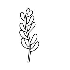Flower outline Illustration