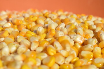 Grão de milho amarelos em foco em fundo laranja quente